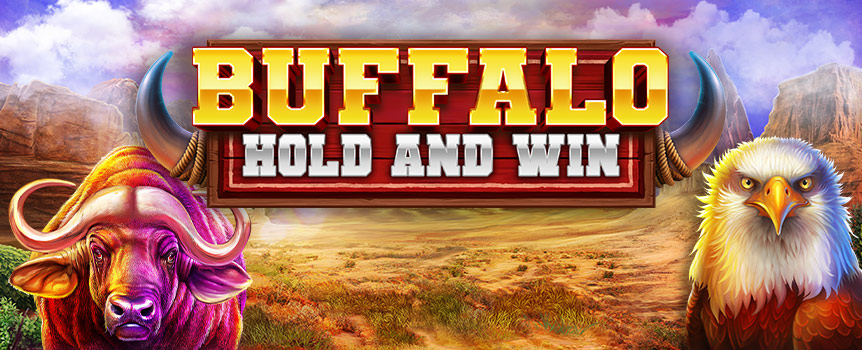 Buffalo Hold and Win are packed full of Re-Spins, Free Spins, and colossal Payouts up to 1,000x your stake!