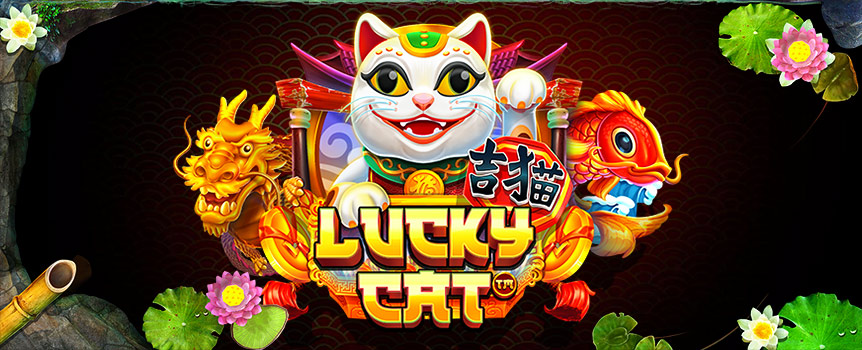If you’re looking for Luck, then look no further than Lucky Cat - the Koi Bonus Game, Transforming Wilds, Free Spins and huge Payouts await!