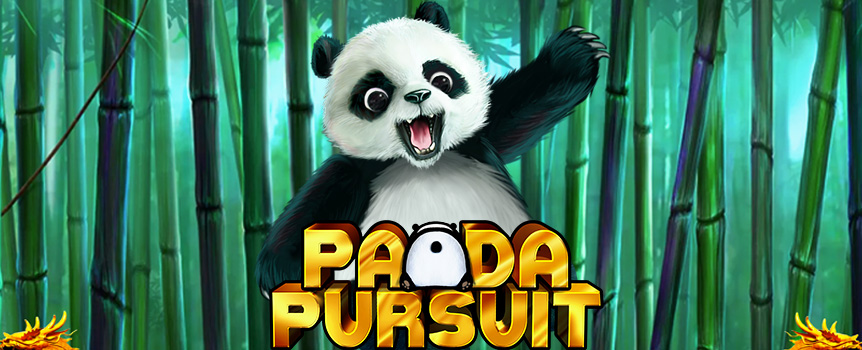 Play Panda Pursuit at Joe Fortune casino.

